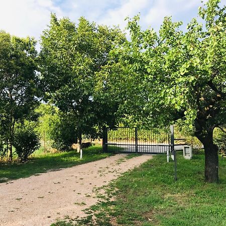 Una Casa Di Campagna Dossobuono Extérieur photo