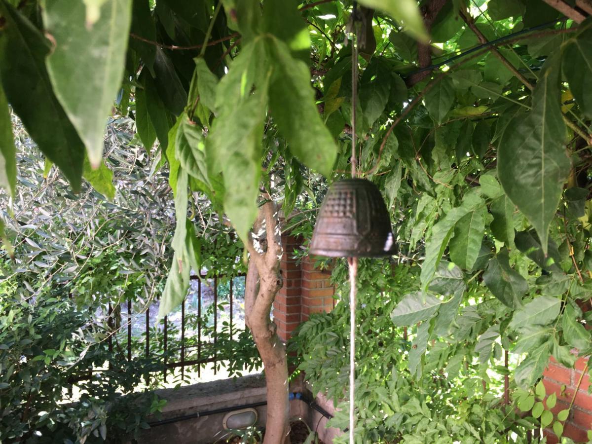 Una Casa Di Campagna Dossobuono Extérieur photo