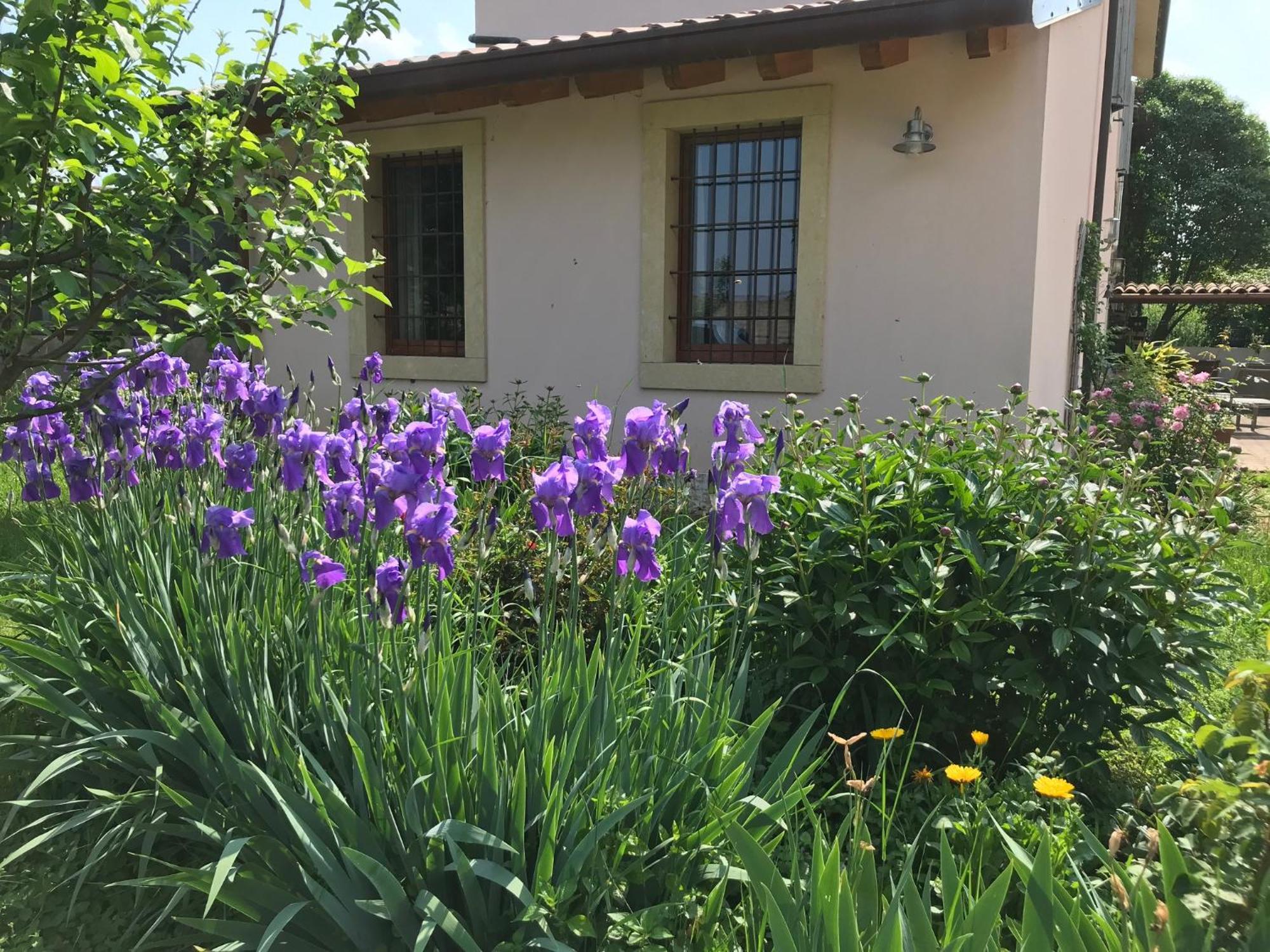 Una Casa Di Campagna Dossobuono Extérieur photo